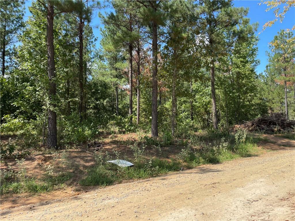 Property Photo: 51 Cedar Hills Trail OK 74728