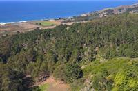 Property Photo: 770 Alta Vista Road CA 94037
