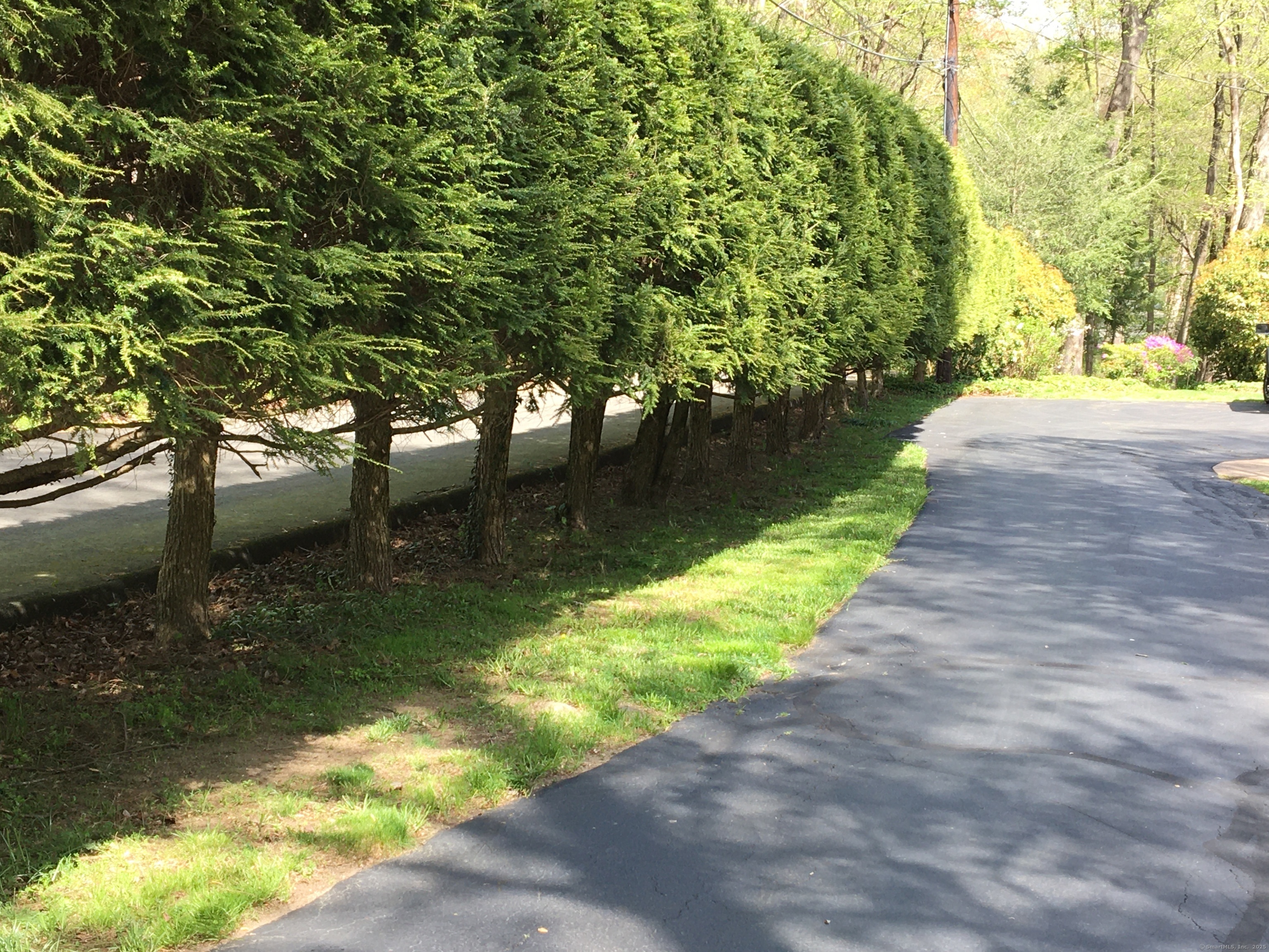 Property Photo: 119 Pease Road CT 06525