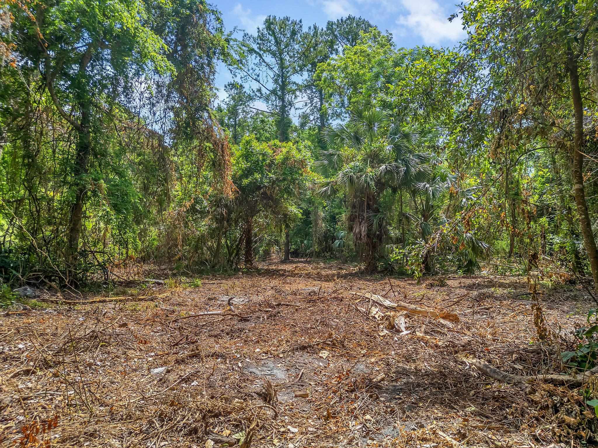 Property Photo: Xxx Woodville Highway FL 32327