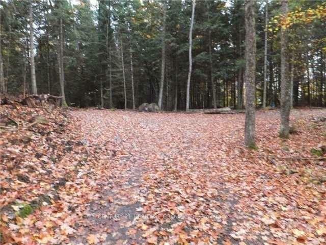 Property Photo:  1646 Kennisis Lake Road  ON K0L 1S0 
