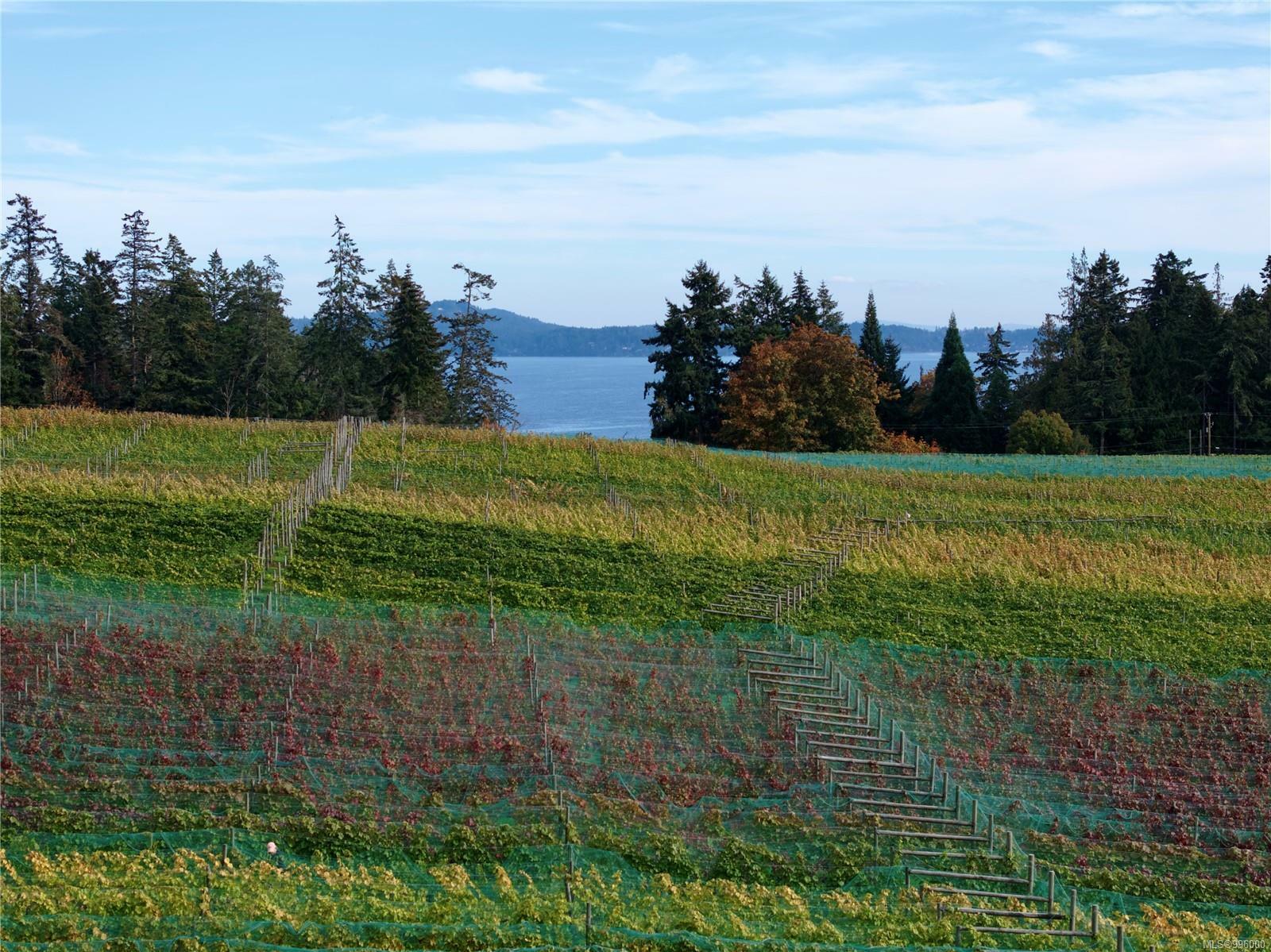 Property Photo: 840 Cherry Point Rd BC V0R 1L3