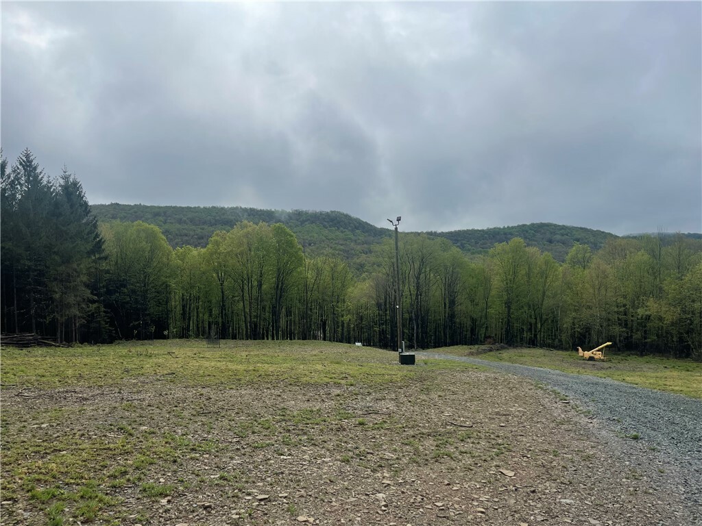 Property Photo: 100 Buchanan Road NY 13865