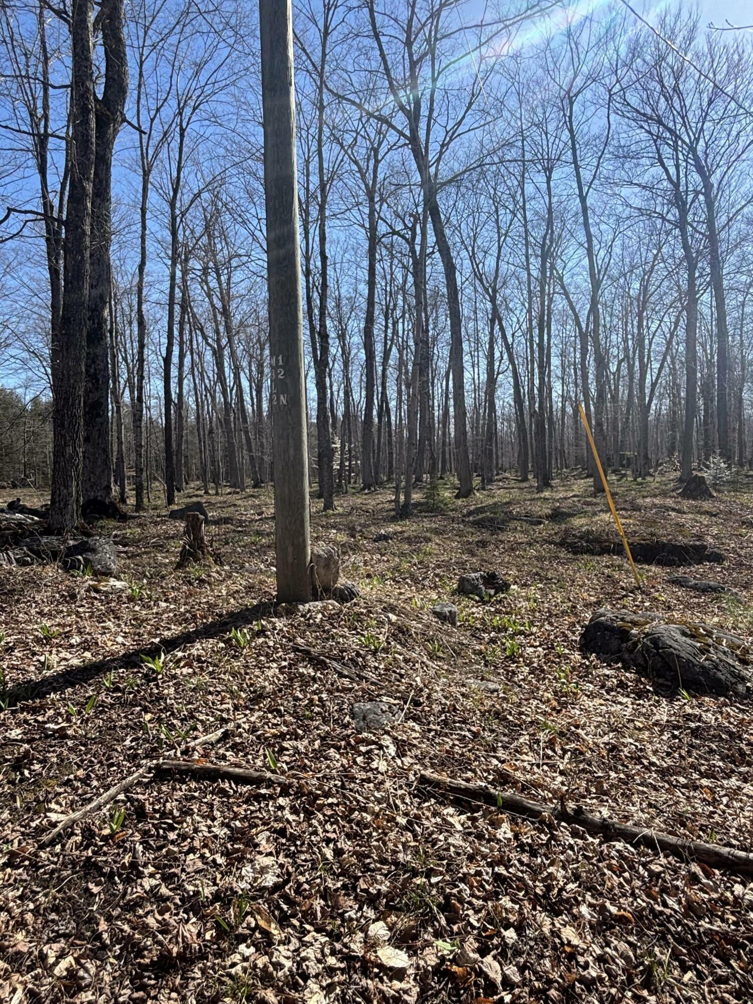 Property Photo: Tbd S Walding Rd MI 49726