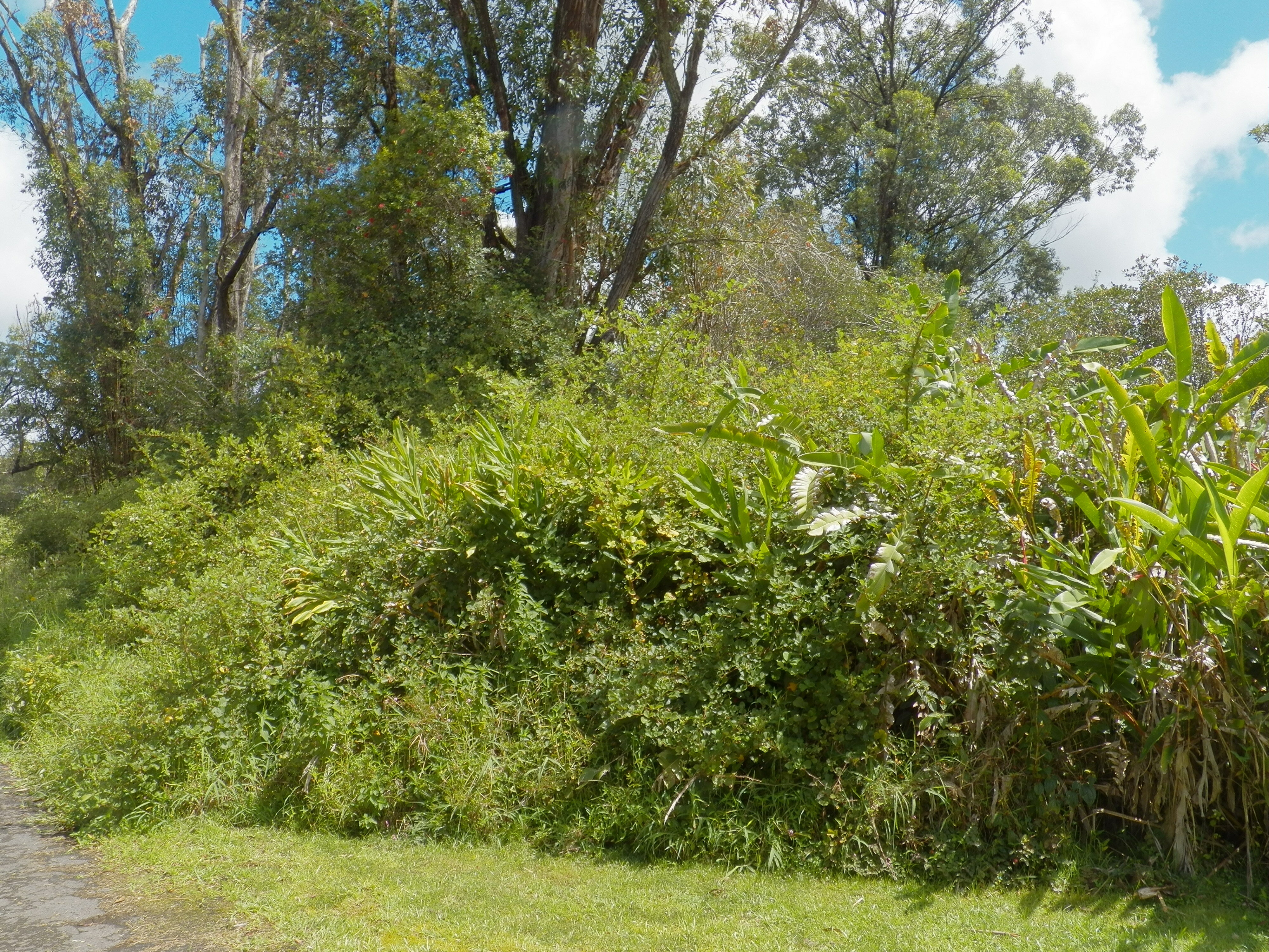 Property Photo: Hinuhinu St HI 96785