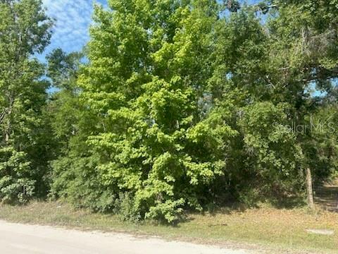 Property Photo: Lots 551-559 Hawthorne Street FL 33540