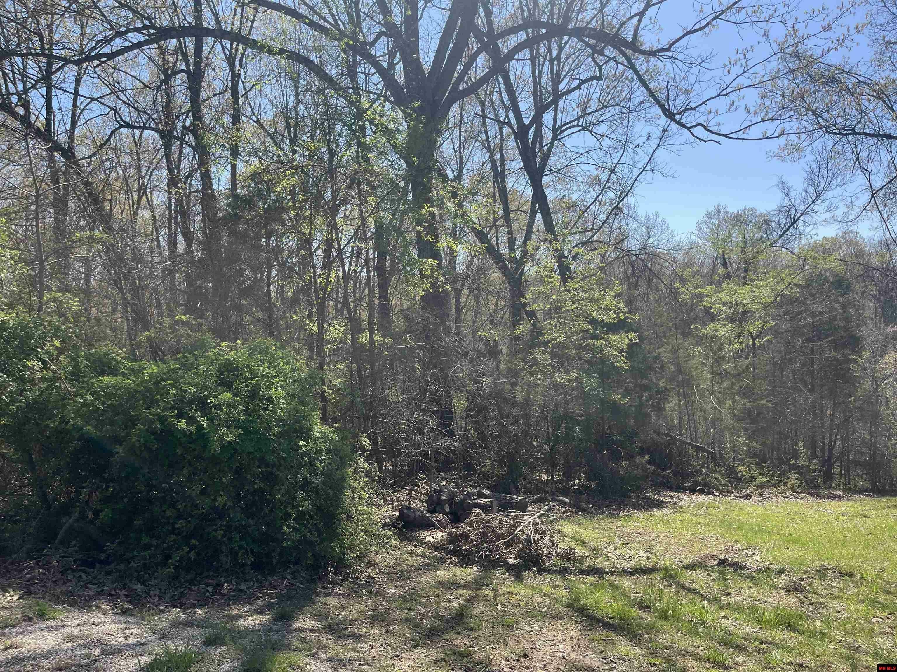 Property Photo: Lot 25 Lakepointe Drive AR 72634