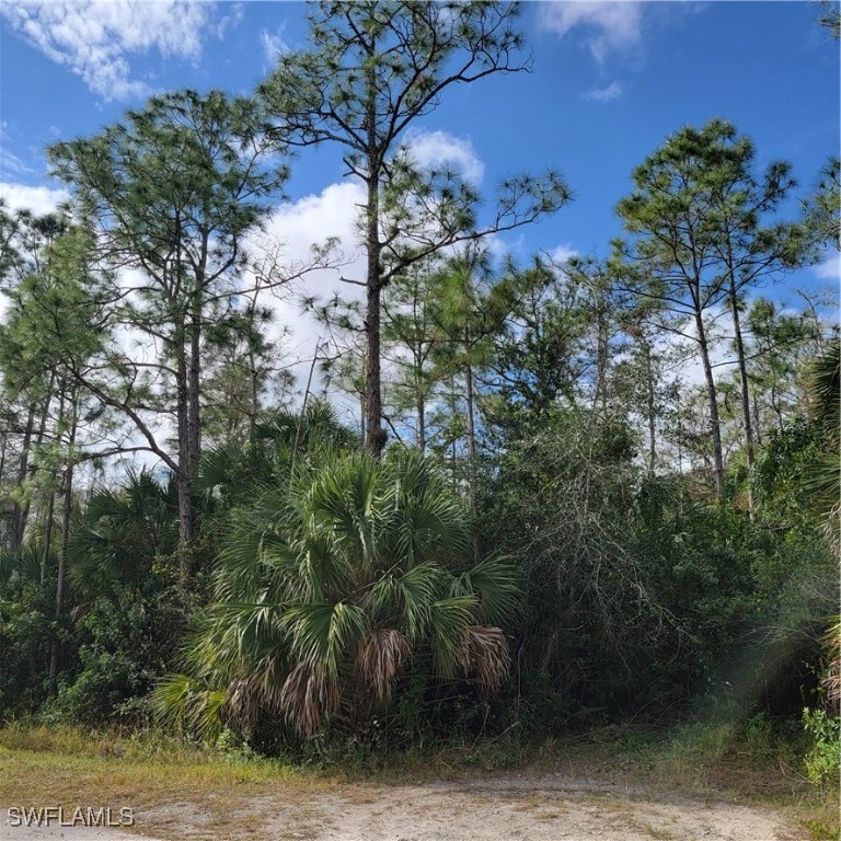 Property Photo: 2nd St NE FL 34120