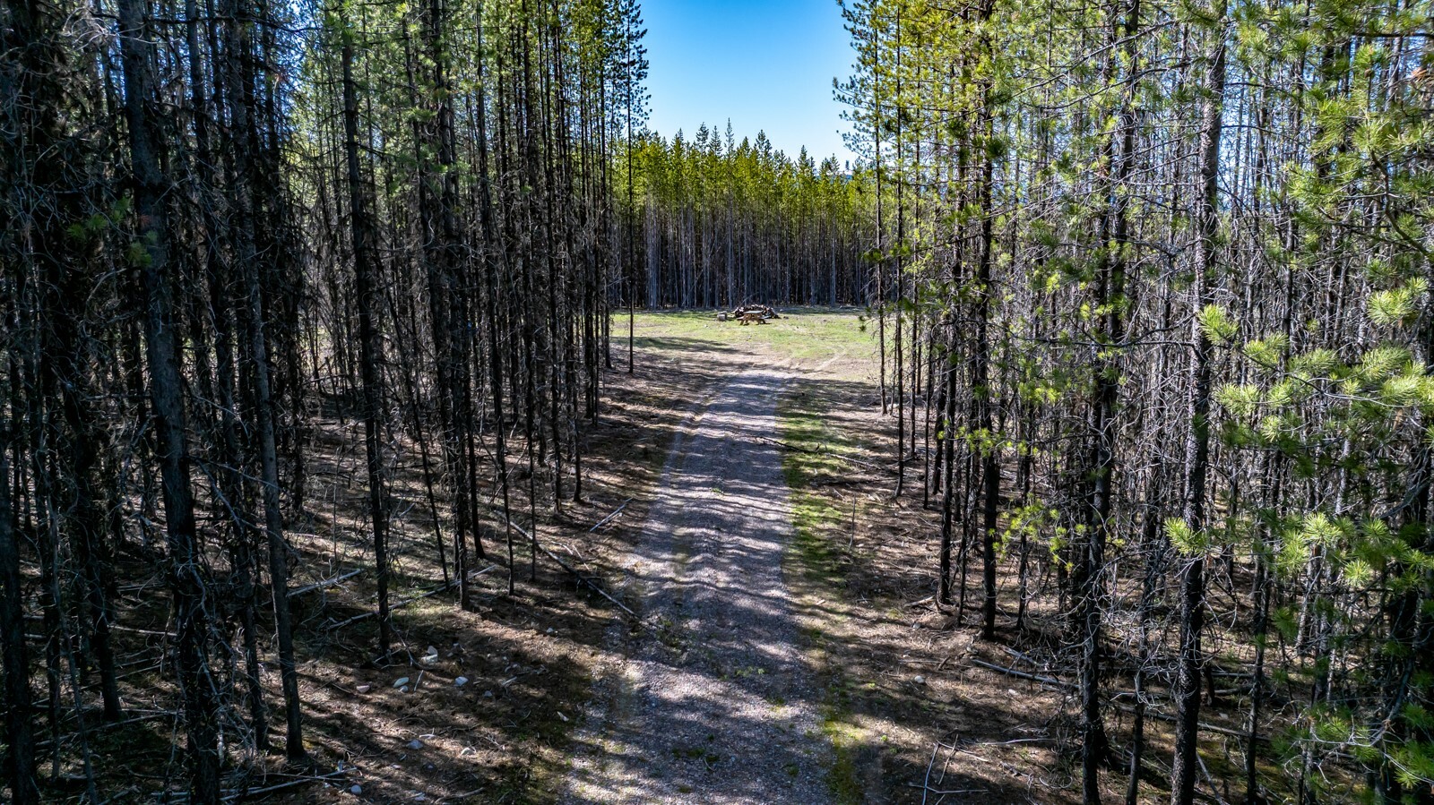Property Photo: 11553 North Fork Road MT 59928