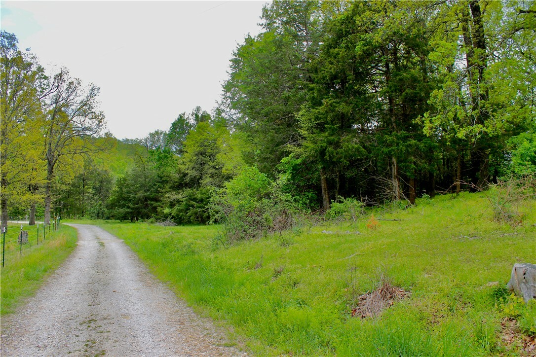 Property Photo:  0000 Dunkard Road  AR 72601 