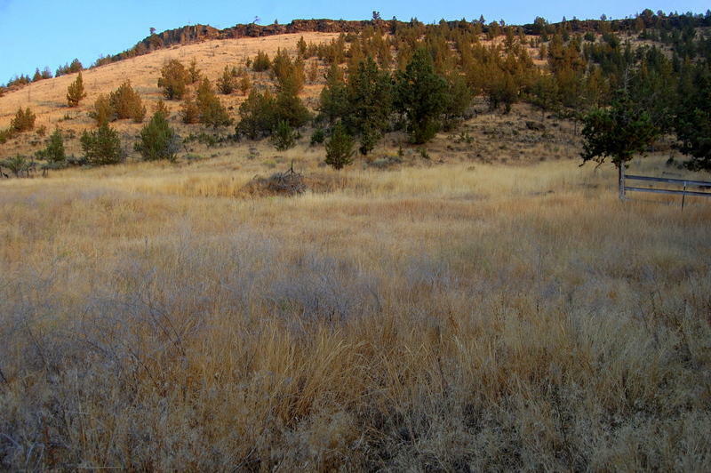Property Photo: 7600 SW Crestview Road OR 97754