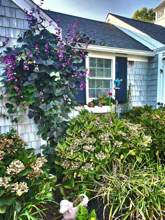 Property Photo:  21 Nickerson Rd 21  MA 02635 