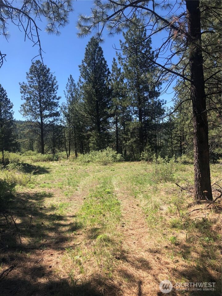 Property Photo: 0 Ridge Top Drive WA 98855