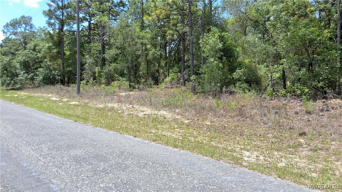 Property Photo: 7238 N Maltese Drive FL 34433