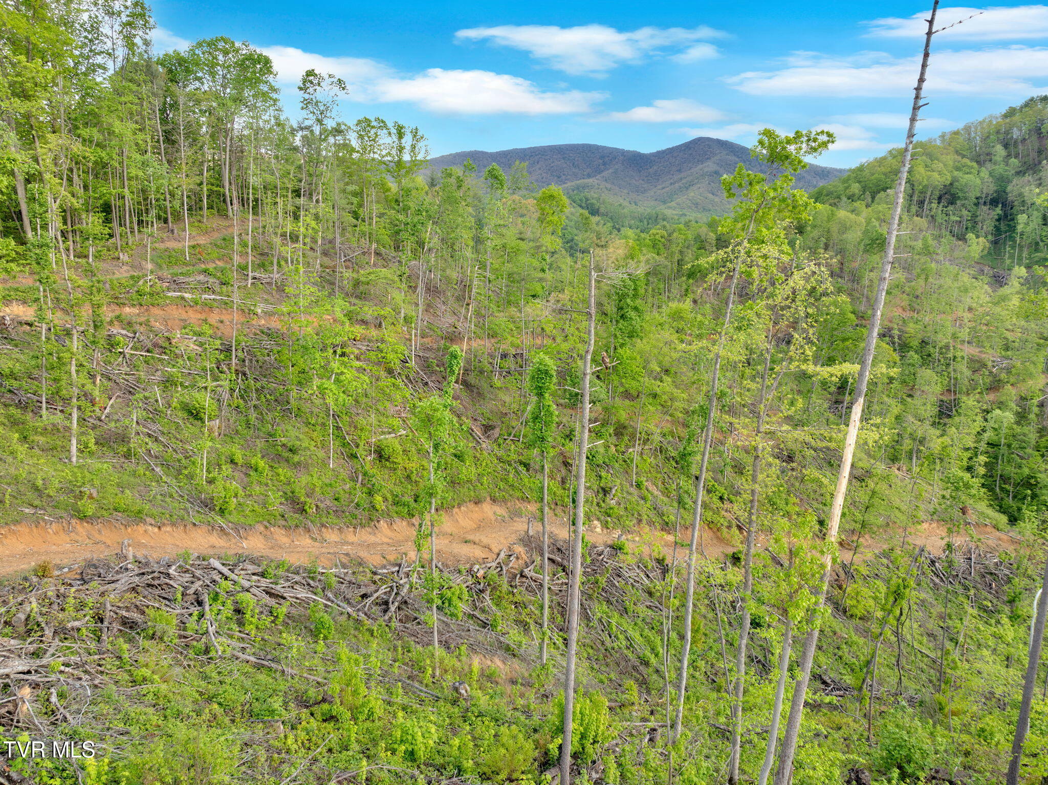 Property Photo: 59.8 Acres Willis Cove Road TN 37650