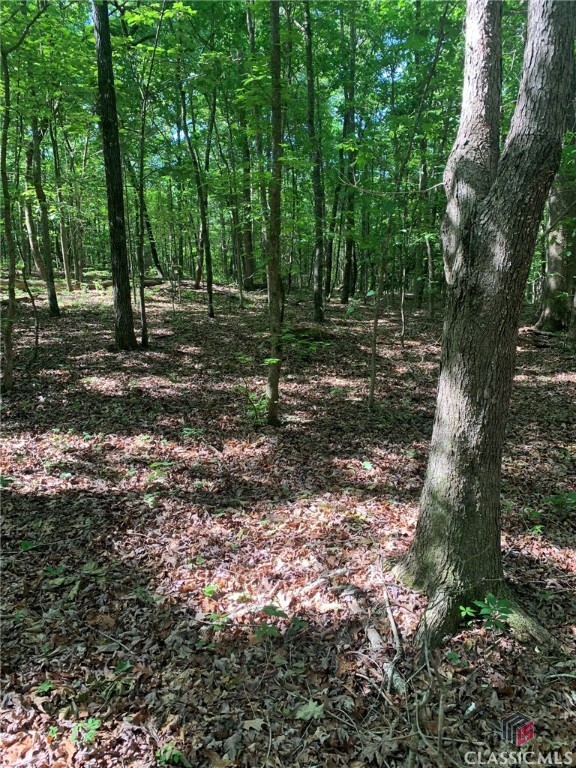 Property Photo: 7700 Poole Circle Tract A GA 30510