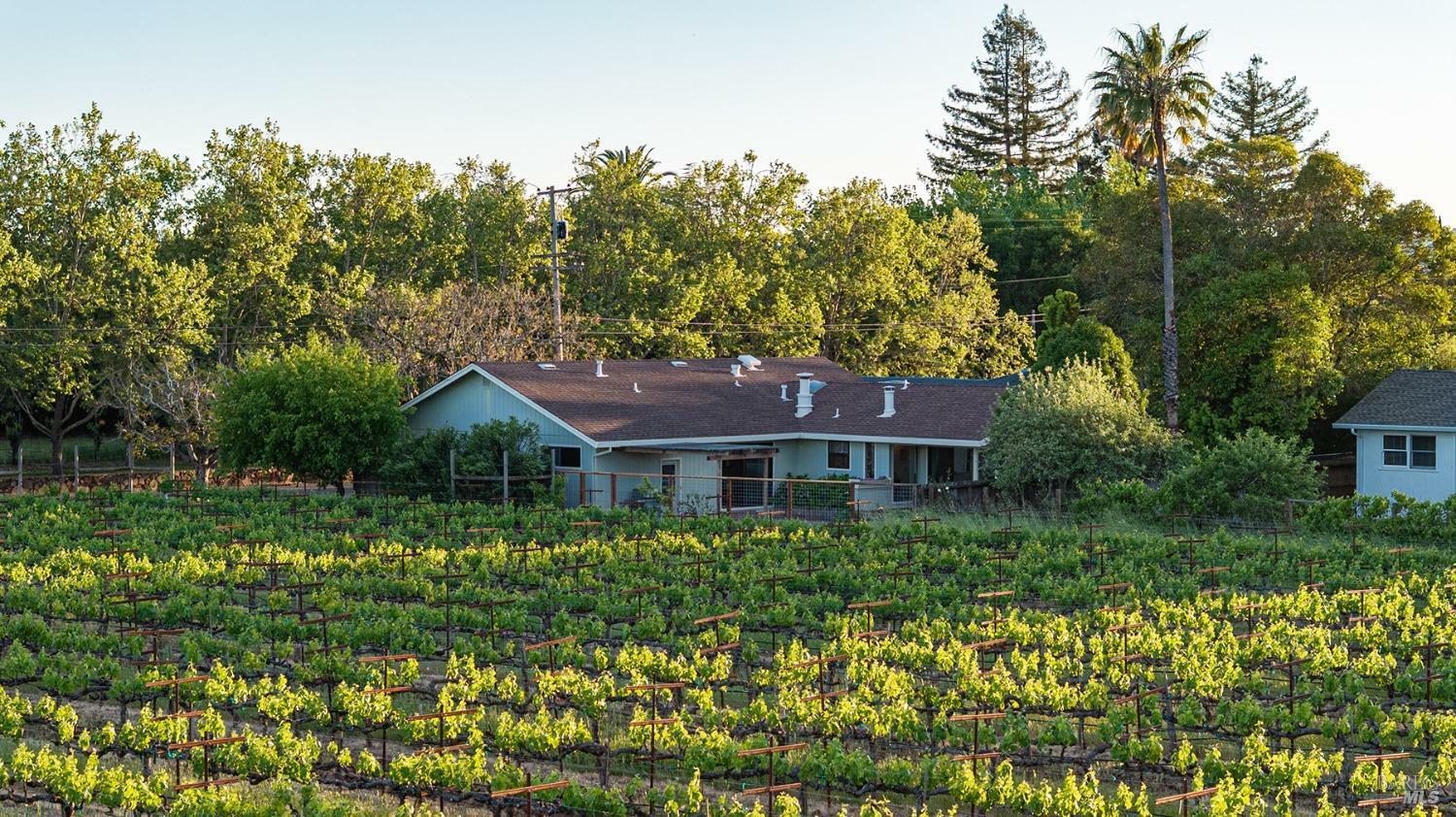 Property Photo: 498 Lovall Valley Road CA 95476