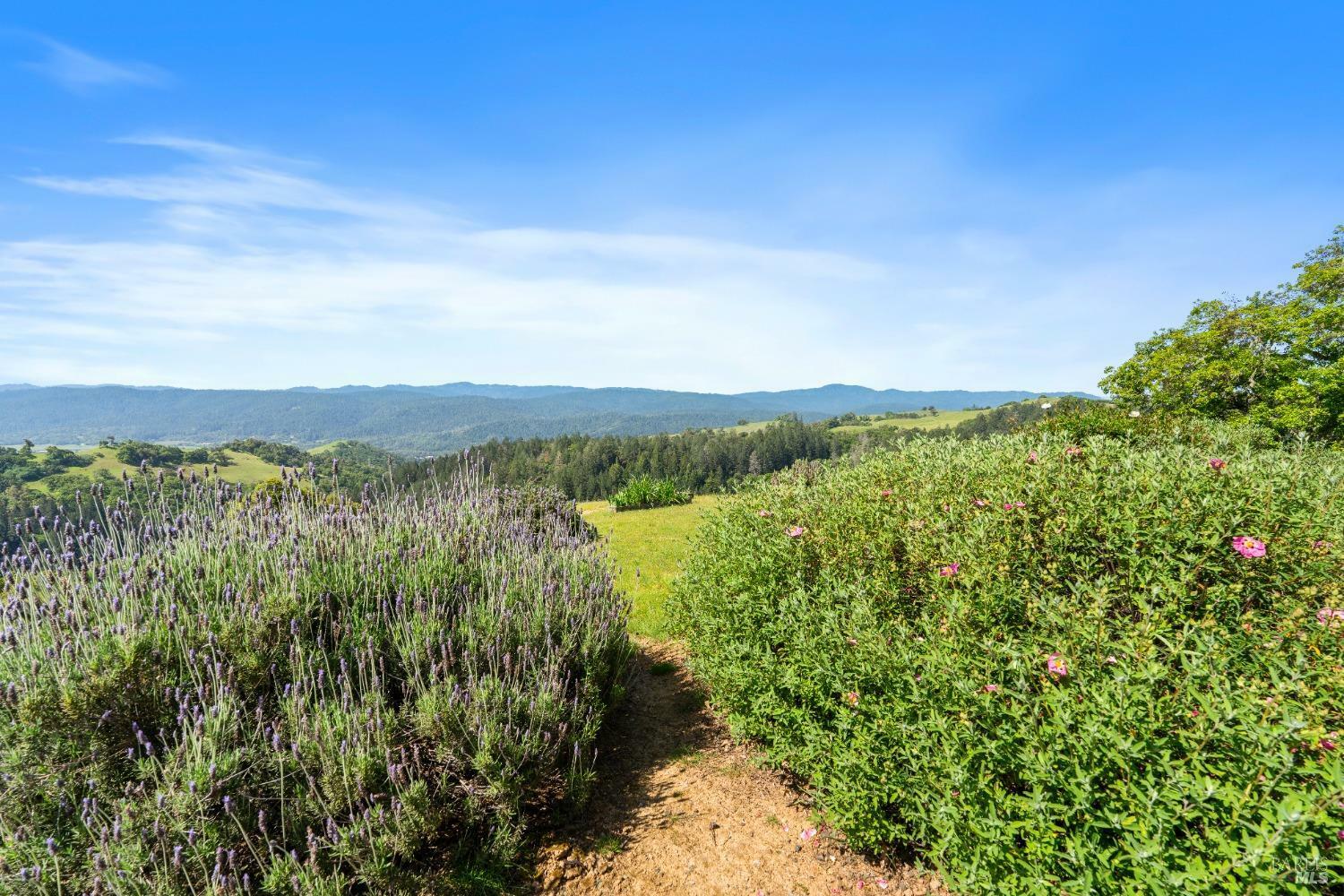 Property Photo: 9655 Peachland Road CA 95415
