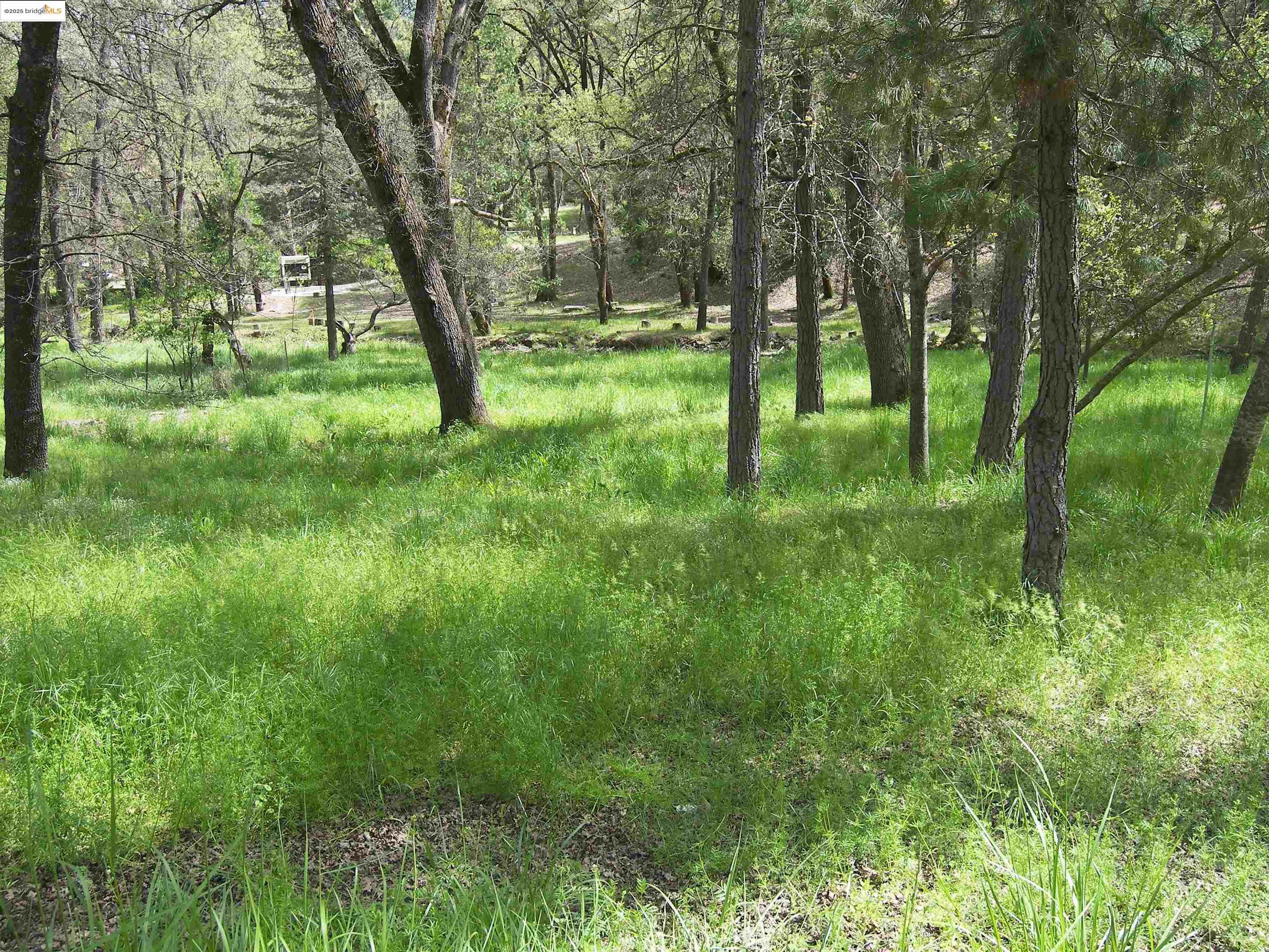 Property Photo: 19545 Pleasant View Dr. CA 95321