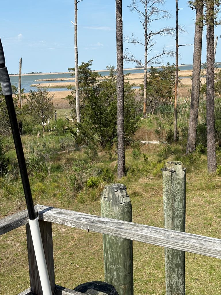 Property Photo: 21302 Wise Point Ln VA 23417