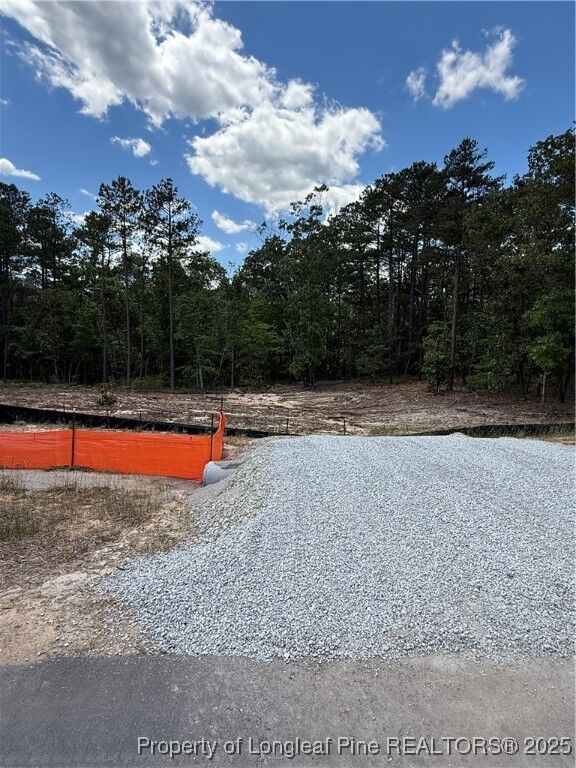 Property Photo:  597 Blossom Trail  NC 27546 