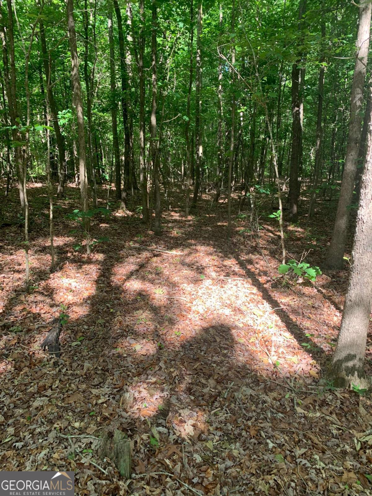 Property Photo: 7700 Poole Circle Tract A GA 30510