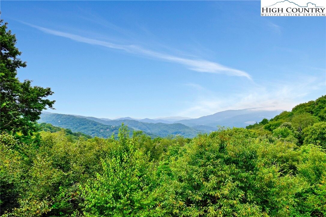 Property Photo:  86 Tyneridge Road  NC 28604 