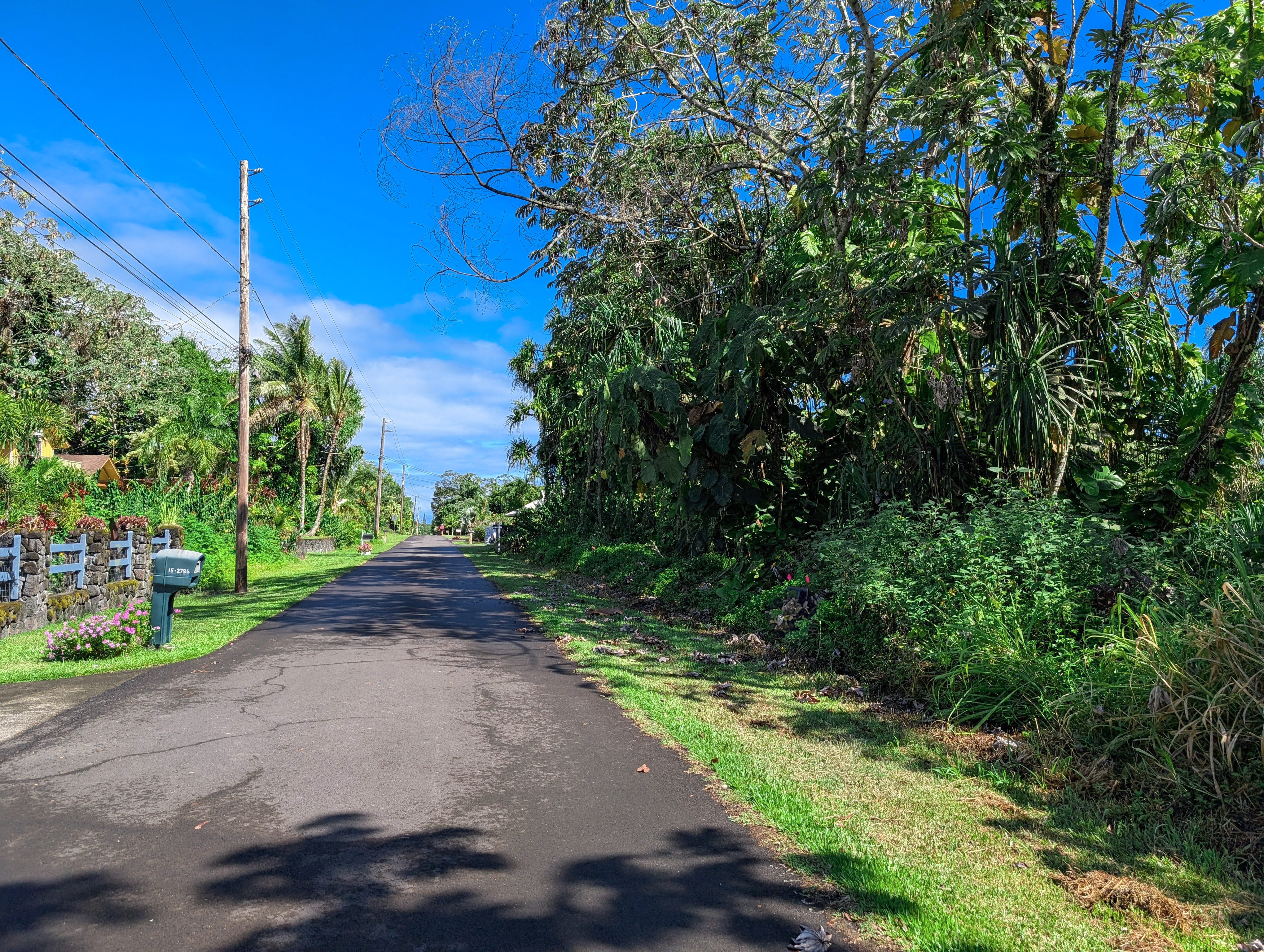 15-2791 Papai St  Pahoa HI 96778 photo