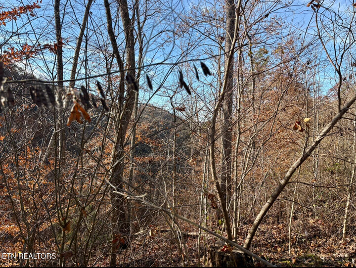 Property Photo:  201 Birch Hollow Rd  TN 37807 