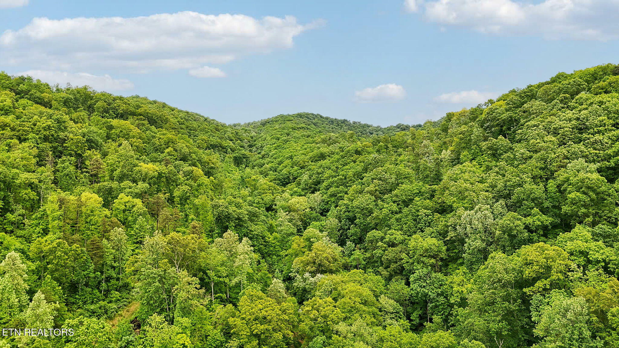 Property Photo: 201 Birch Hollow Rd TN 37807