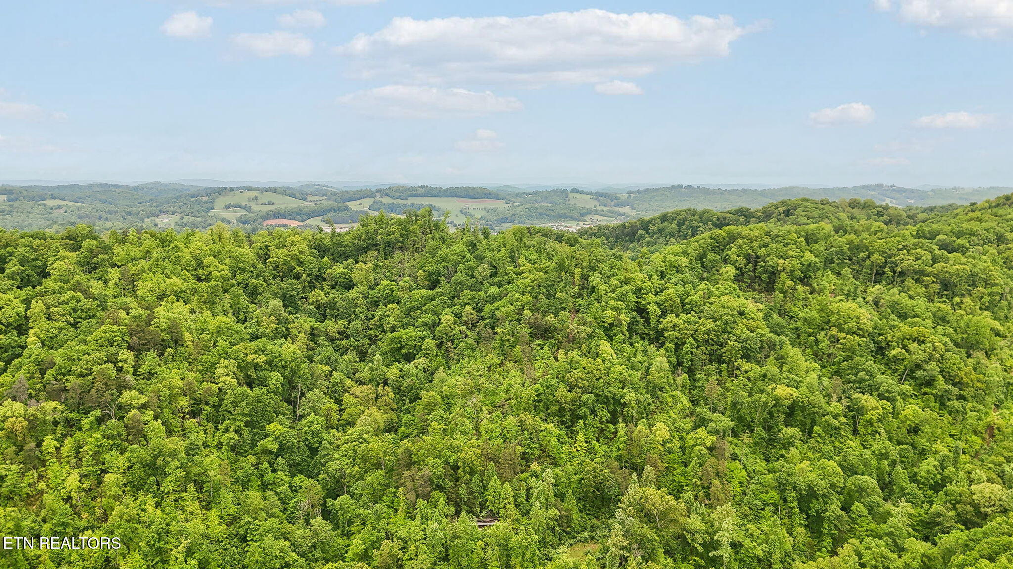 Property Photo: 201 Birch Hollow Rd TN 37807