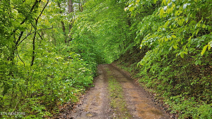 Property Photo:  201 Birch Hollow Rd  TN 37807 