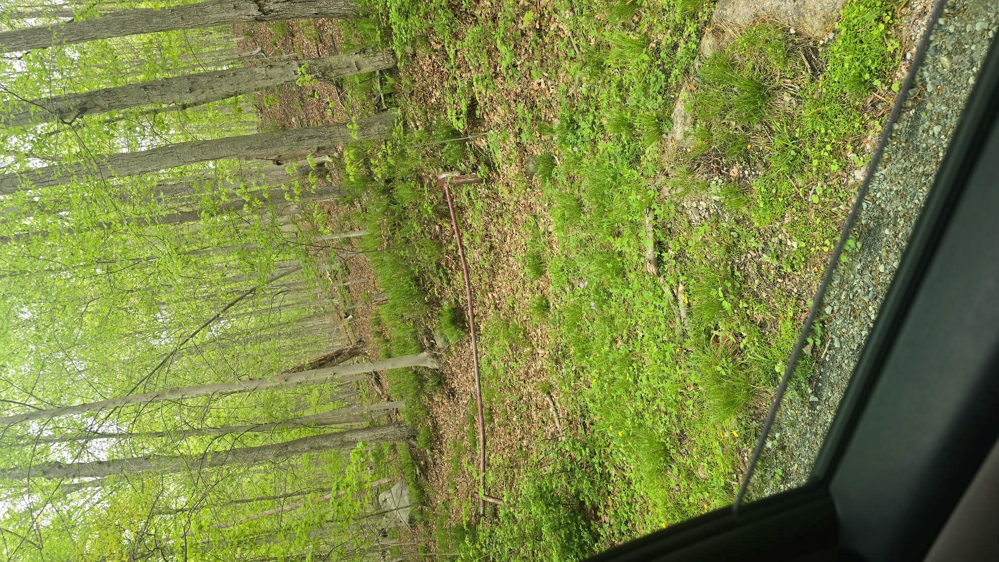 Property Photo: 34 Gordon Road NY