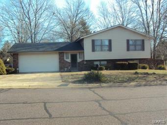 Property Photo: 518 Sun Valley Drive MO 63640
