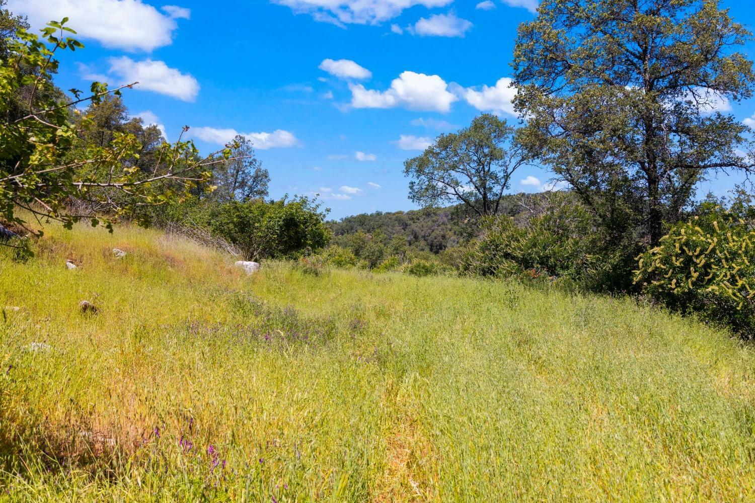 18085 Lime Rock Drive  Sonora CA 95370 photo