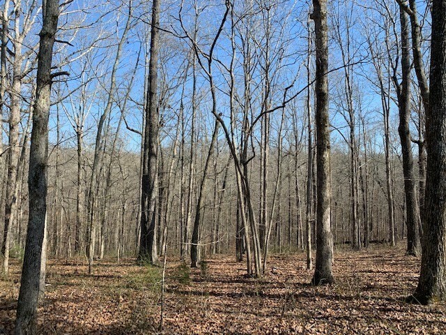 Property Photo: 146 Quail Ridge Rd TN 38483