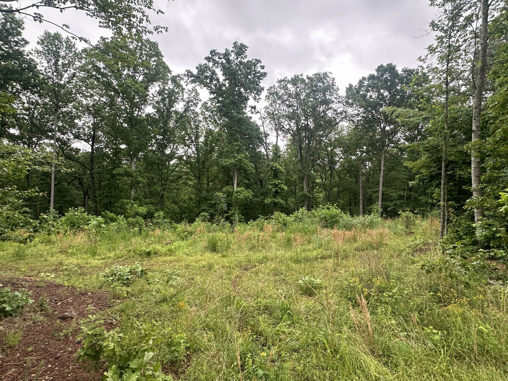 Property Photo: 146 Quail Ridge Rd TN 38483