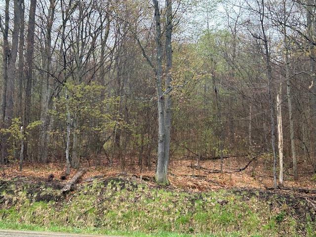 0 Route 607  Austin PA 16720 photo