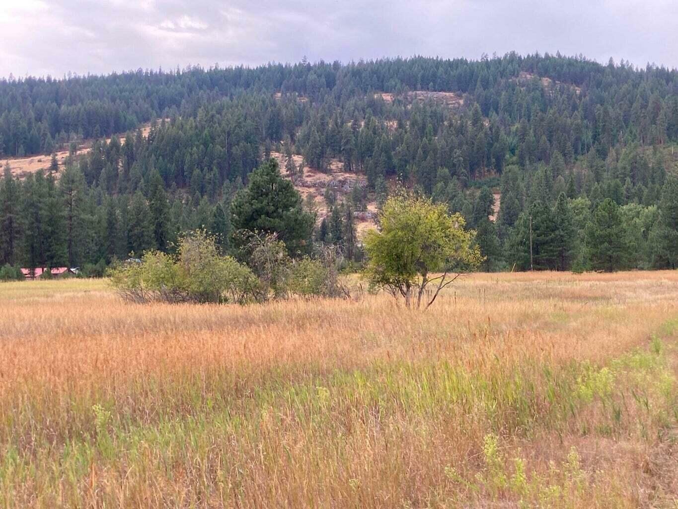 Property Photo: 3349 Rockcut Rd WA 99141