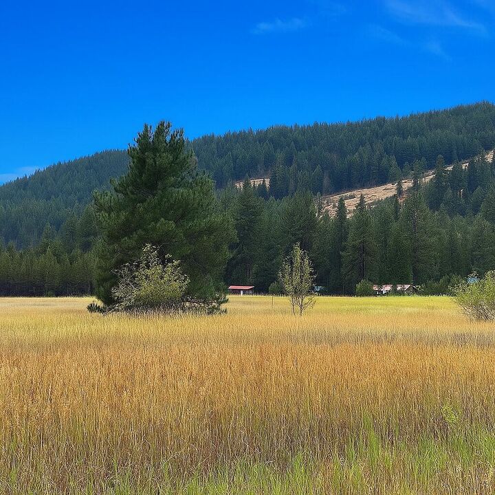 Property Photo:  3349 Rockcut Rd  WA 99141 