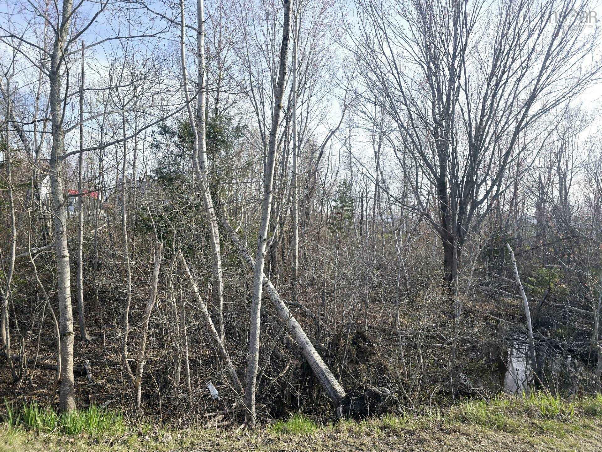 Property Photo:  Lot Belmont Avenue  NS B0K 1S0 