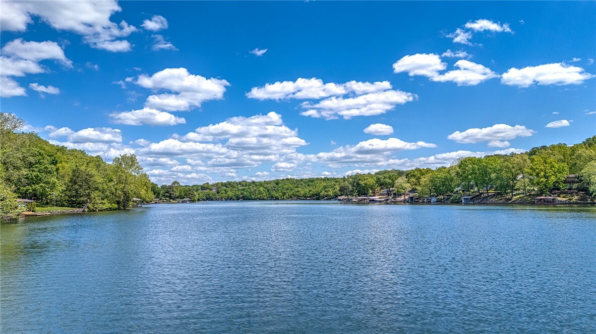 Property Photo: 20 Folkingham Lane AR 72715