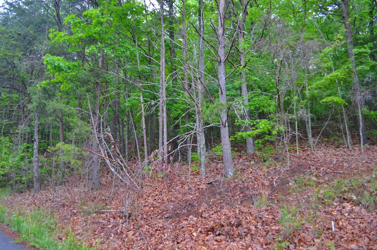 Property Photo: 8805 Terrace Falls Drive TN 37379