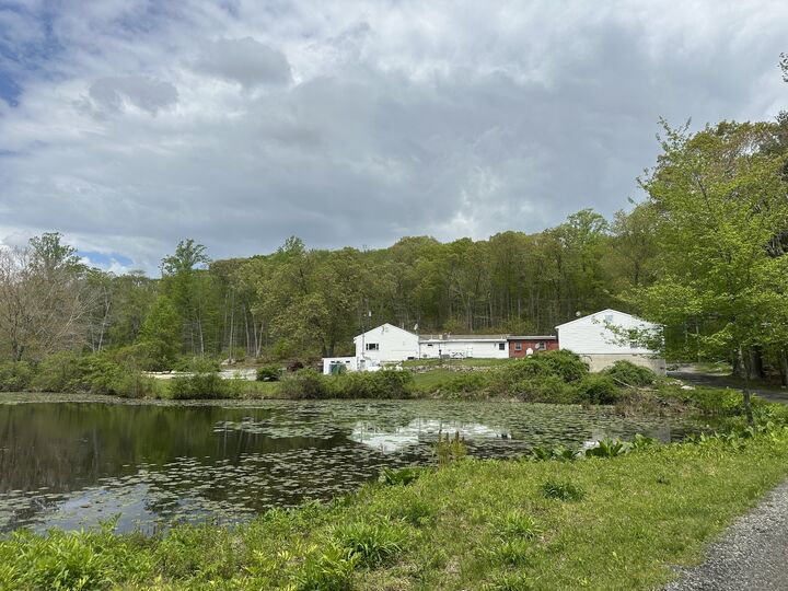 Property Photo:  497 Winthrop Road  CT 06417