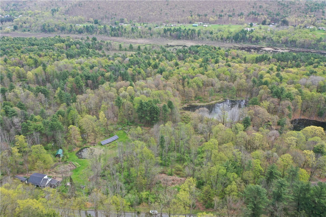 Property Photo: 0 Coddington Road S NY 14817