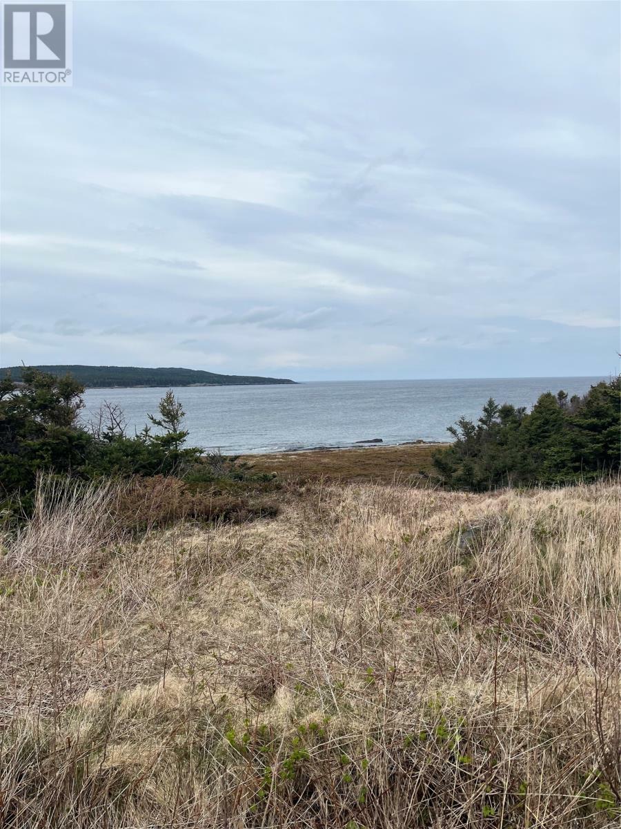 Photo de la propriété:  1A Main Road  NL A0C 1T0 