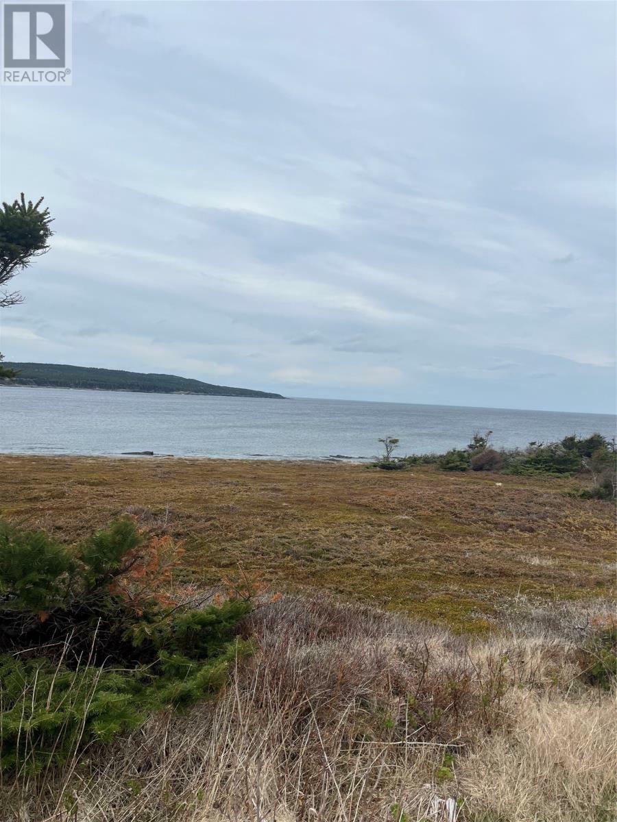 Photo de la propriété:  1B Main Road  NL A0C 1T0 