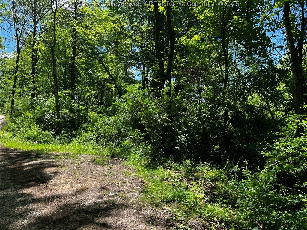 Property Photo: 0 Lts Plantation Road WV 25312