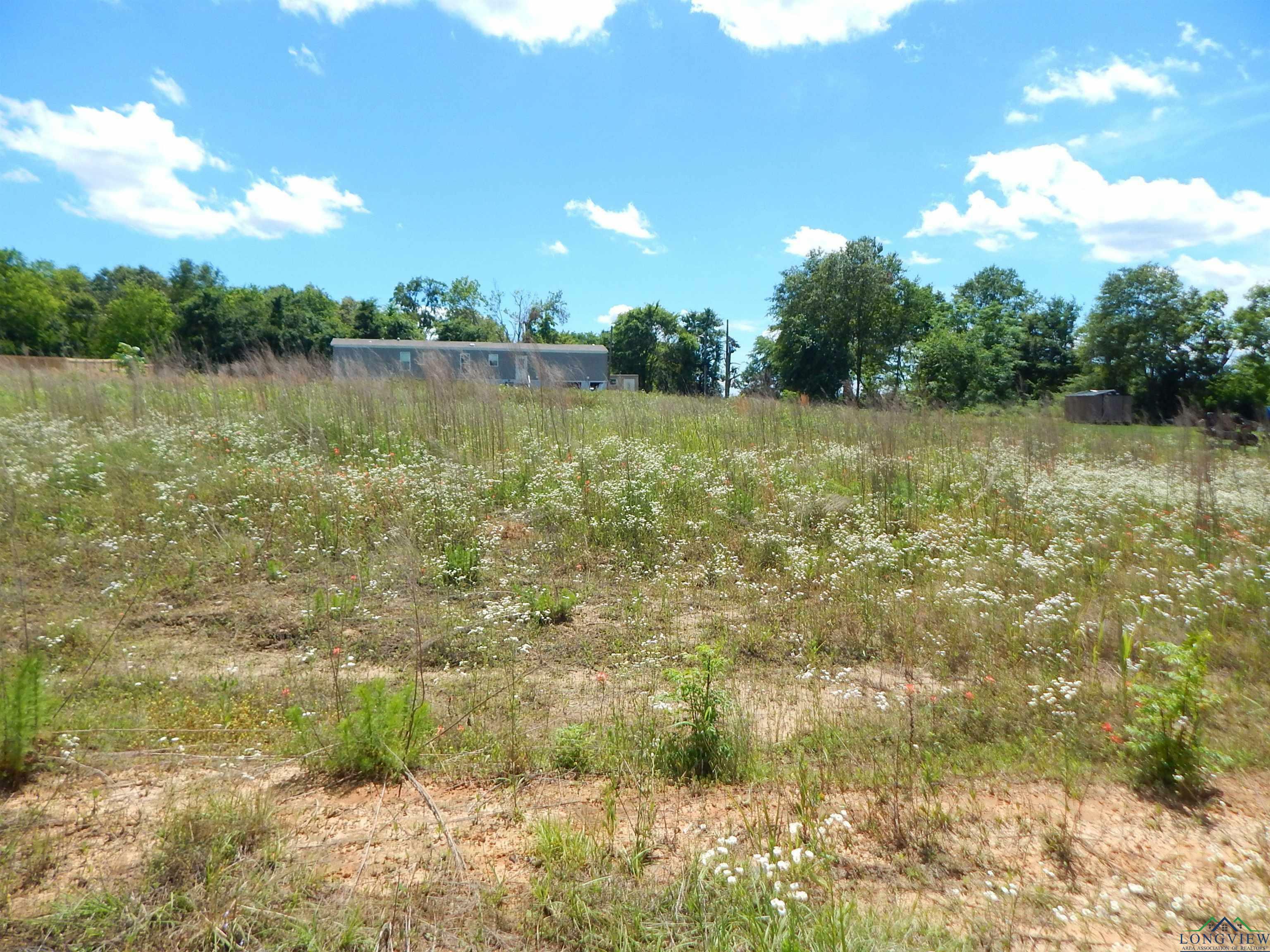 Property Photo:  Tbd Lot 7 Zela Rd.  TX 75644 