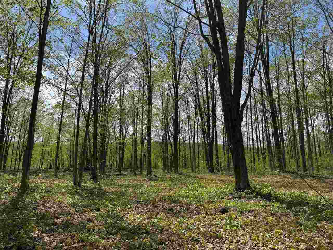 5727 Shady  Harbor Springs MI 49740 photo